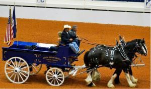 Shires at Roanoke Valley Horse Show